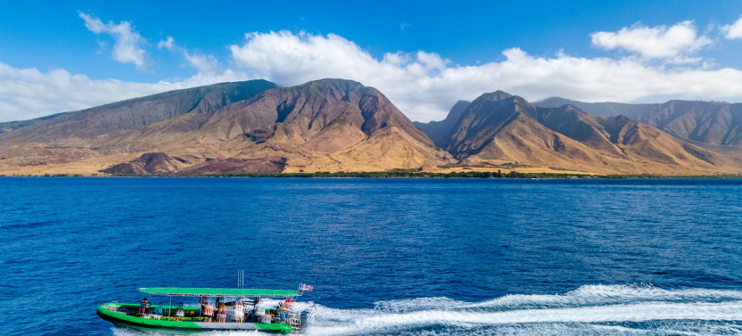 2 Hour Whale Watch Boat Tour