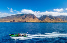 The Magic Merman Snorkel Charters10
