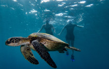 The Magic Merman Snorkel Charters11