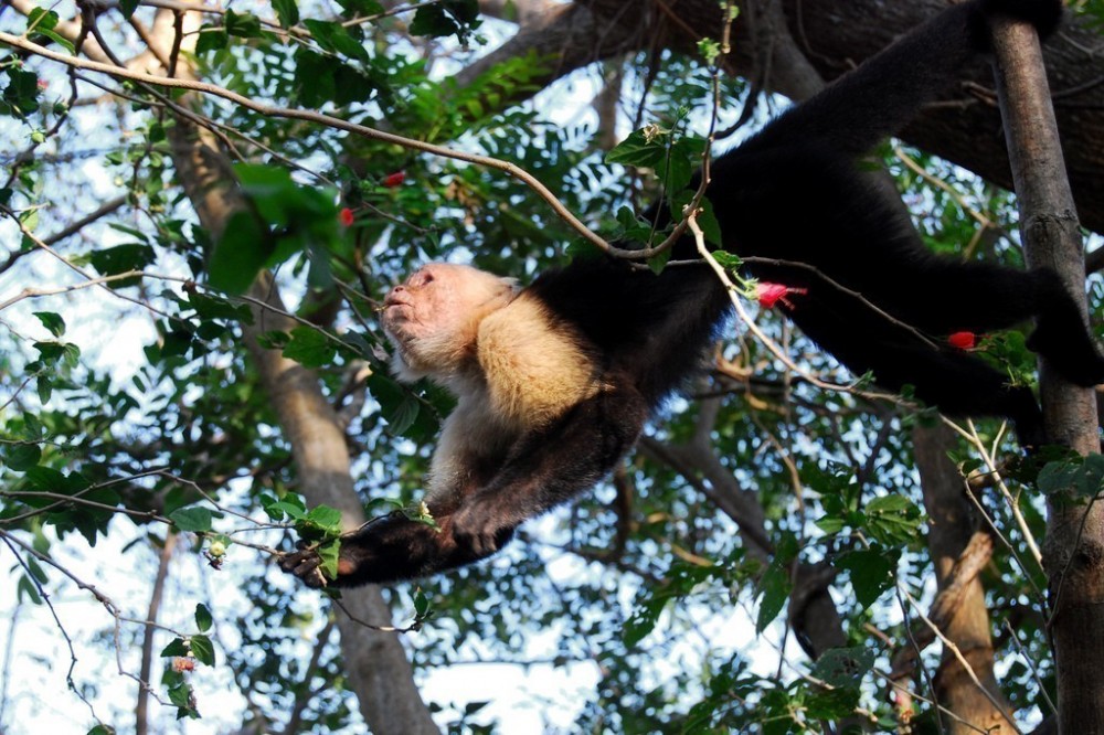 Santa Rosa National Park | Sights & Attractions - Project Expedition