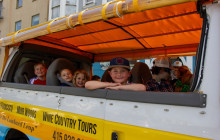 Dylan's Tours83
