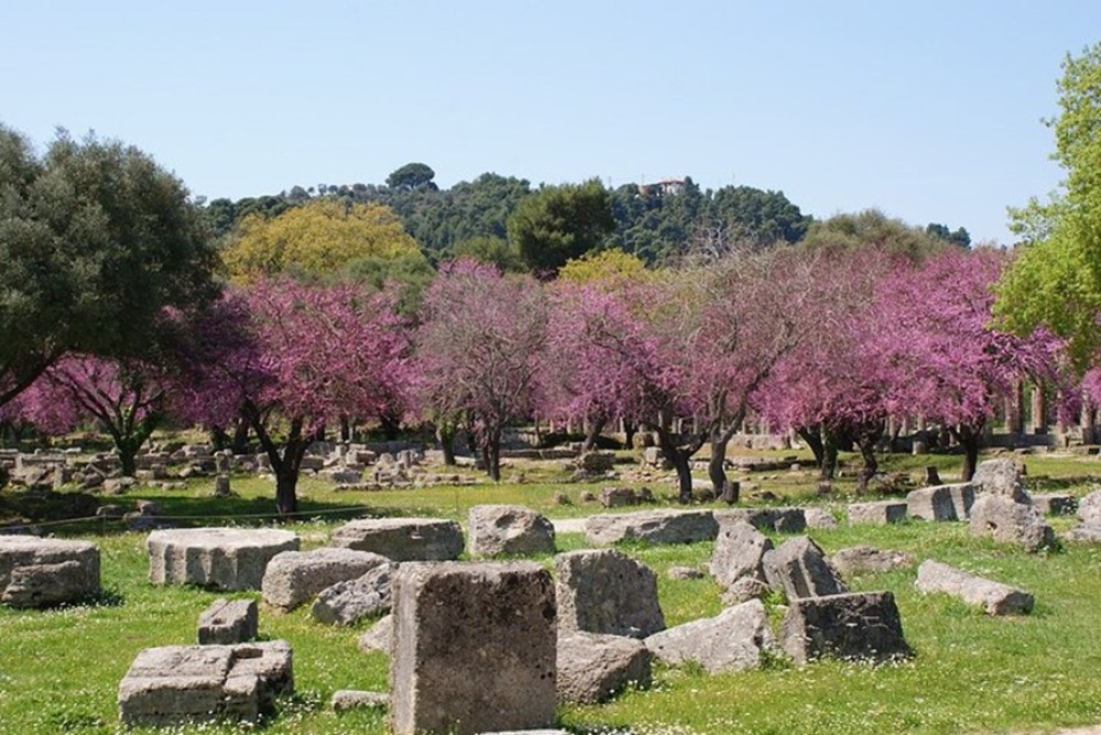 Ancient Olympia and Corinth Canal All Day Private Tour by Sedan