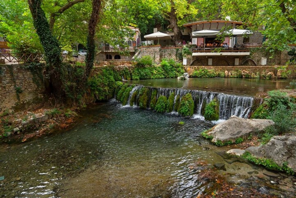 Full Day Tour in Delphi/Livadia: Live the myths by sedan