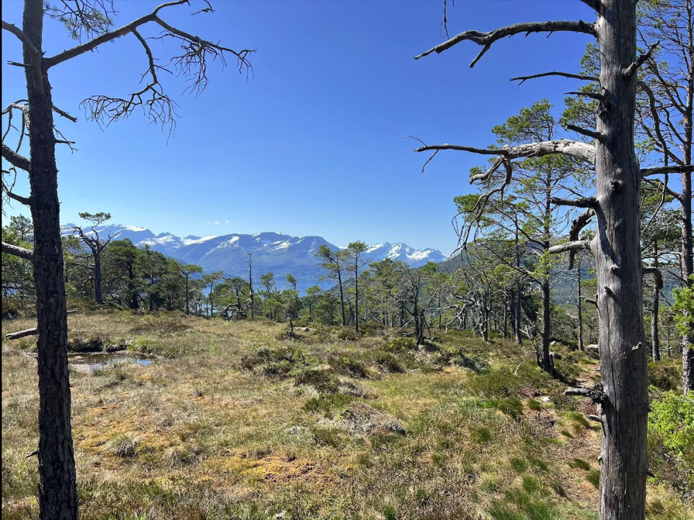 Hiking Haugtua From Storfjord