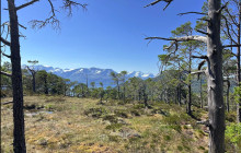 Uteguiden1