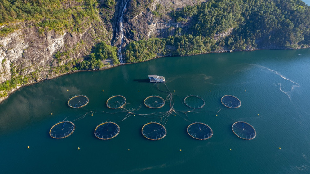 Aquaculture Visitor Centre in Valldal From Valldal