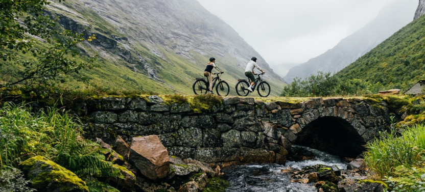 E-biking Norangsdalen - Starts from Øye