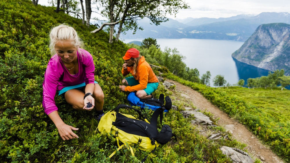 E-bike and Hike Lievarden from Stranda
