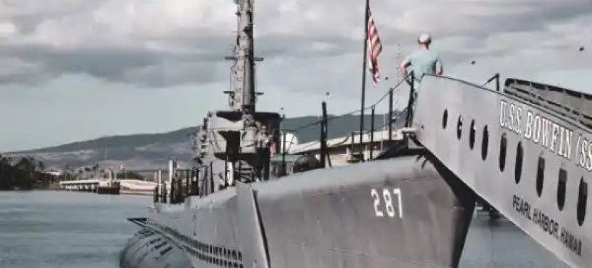 Private Tour for Small Group (Up to 5 Guests) of Pearl Harbor and Downtown