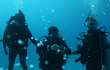 The Dive Machine2