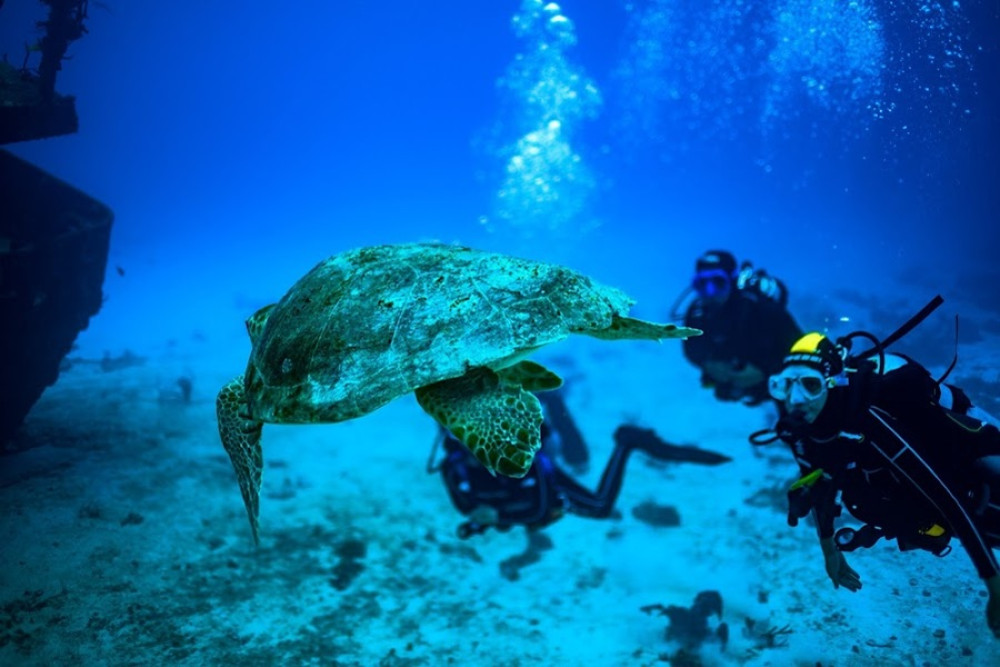 Fun Dive Machine in Cozumel or Playa del Carmen (For Certificates ...