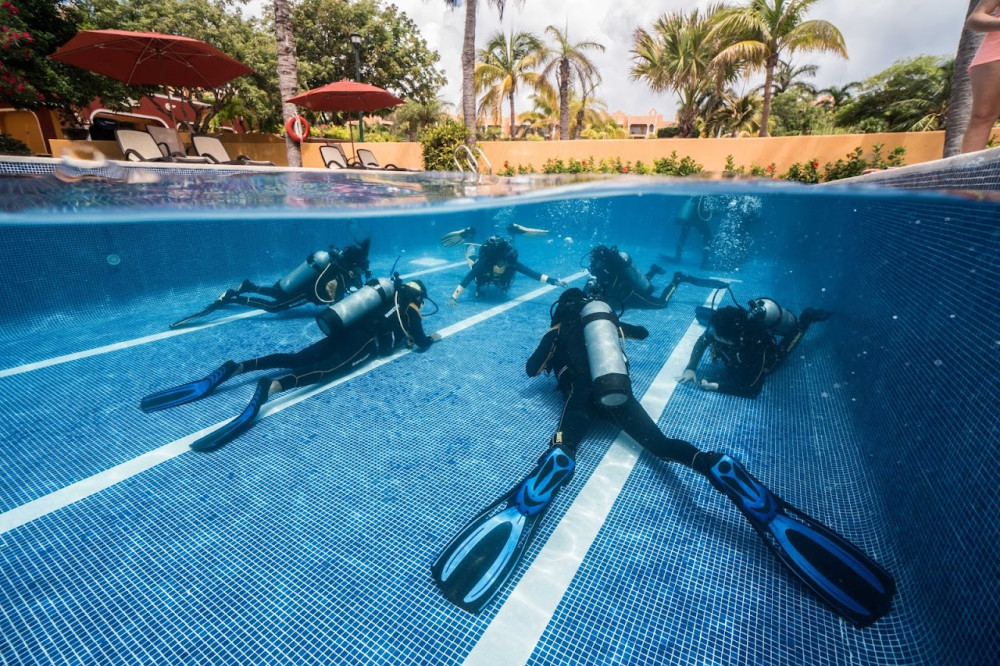 Open Water or Advanced Dive Course in Riviera Maya