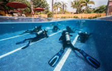The Dive Machine2