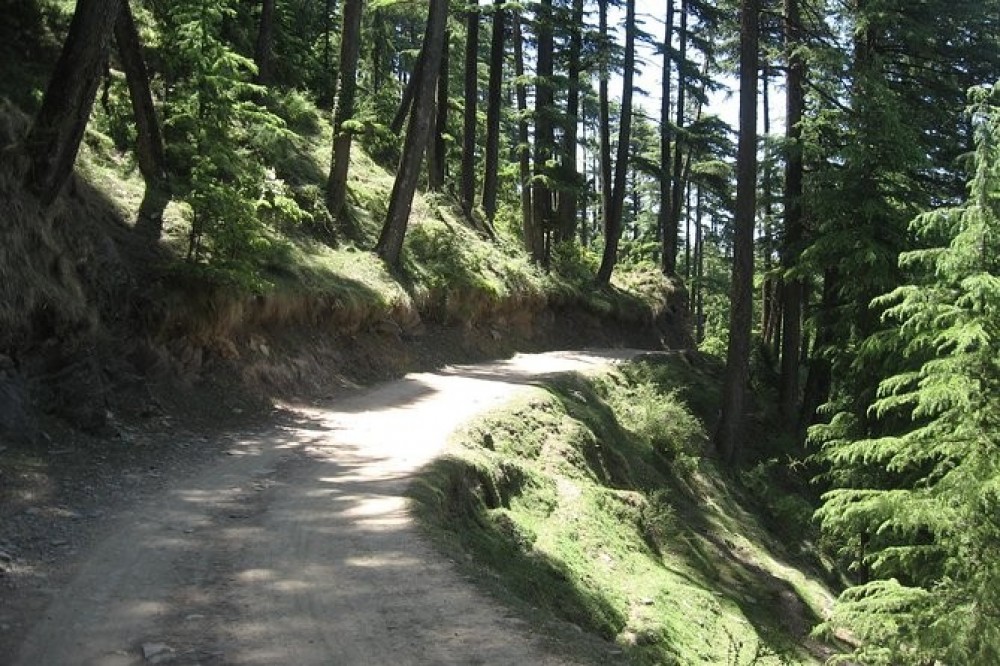Shimla Walks