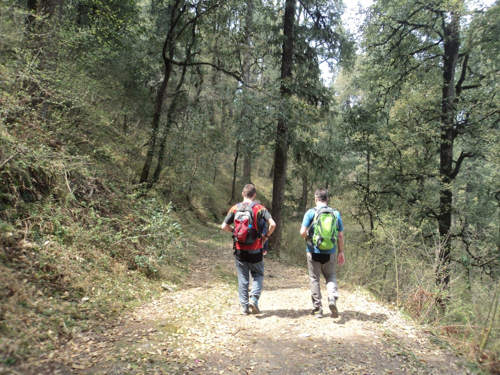 Walks Around Shimla: 7 Days of Exploring