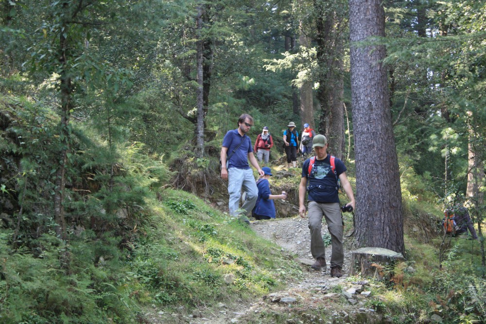 Shimla Walks