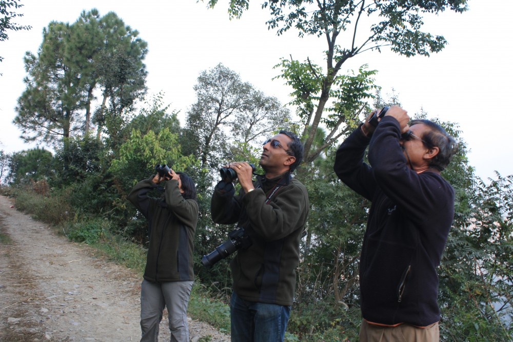 Shimla Walks