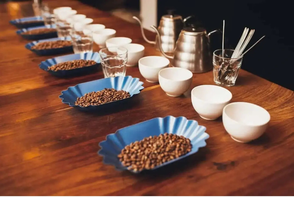 Coffee Tasting Experience with Brewing Workshop and Gourmet Pairings