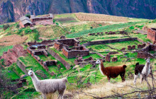 Terra Quechua Peru5
