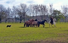 Buenos Aires Touring1