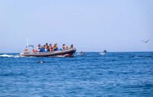 AlgarExperience12