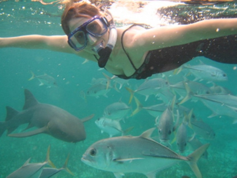 Coral Gardens