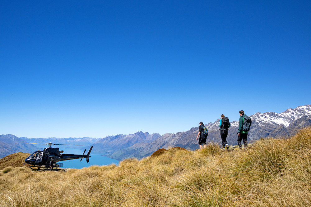 Mt Alfred Helicopter Ride and Hike