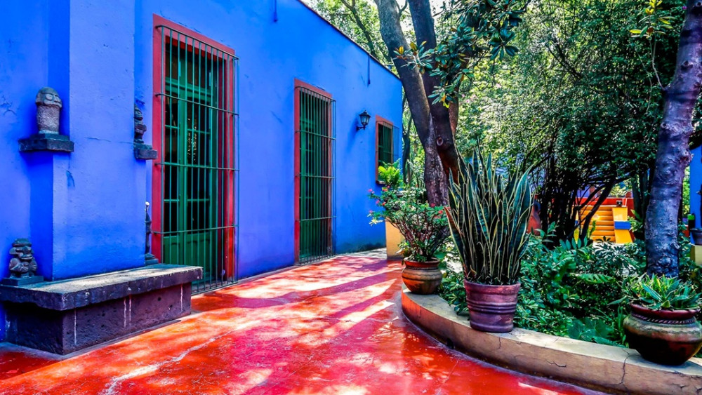 Dream Xochimilco & Coyoacán