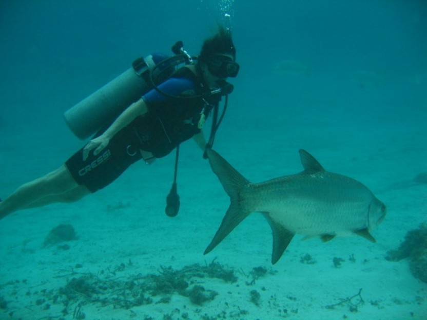 Scuba Diving: 3 Tanks