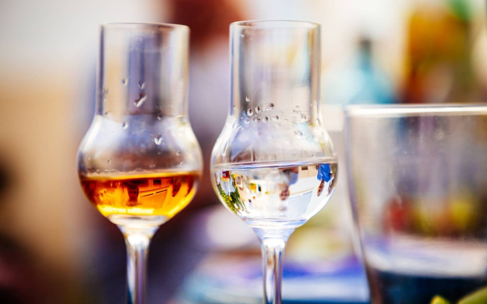 Italian Grappa Tasting Experience in Rome