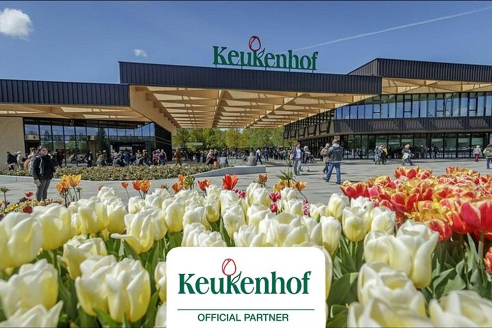 Private Keukenhof Tulip Fields Tour from Amsterdam (Skip-The-Line)