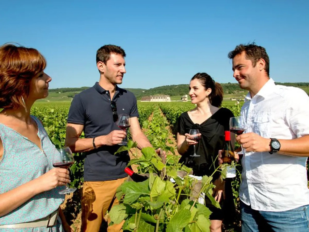 Dijon Wine Tours: Côte de Nuits Half-Day Small Group