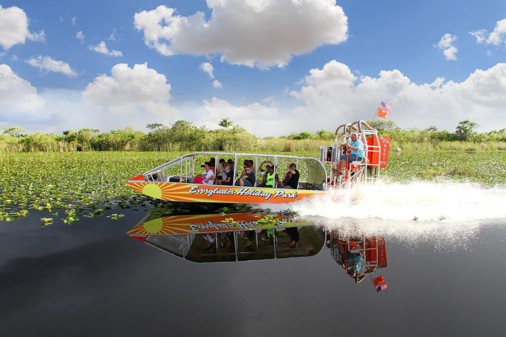 Everglades Tour: Airboat, Wildlife Show & Roundtrip Transfer from Miami