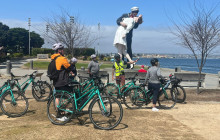 Unlimited Biking - USA1