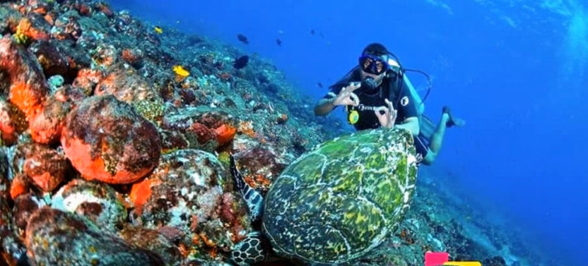 Diving in Noronha with a Local Guide
