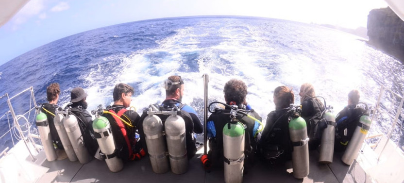 Diving in Noronha with a Local Guide