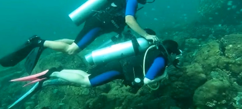 Diving in Angra dos Reis and Ilha Grande