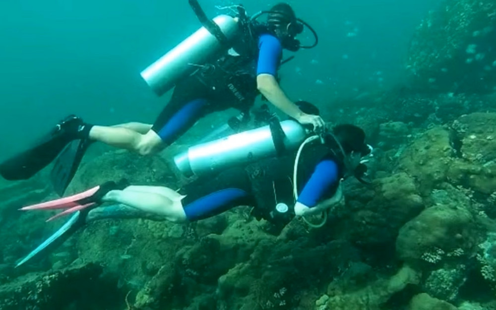 Diving in Angra dos Reis and Ilha Grande