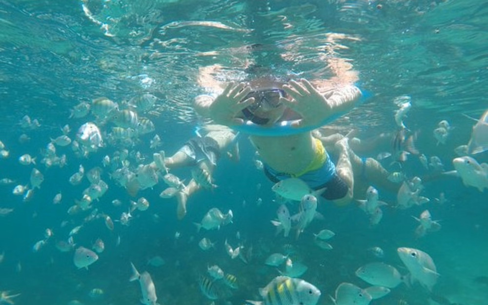 6 Hour Private Speedboat Ride - Lagoas da Ilha Grande