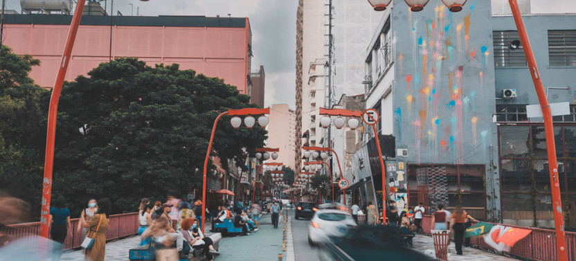 Private Car Tour of São Paulo with a Local Guide