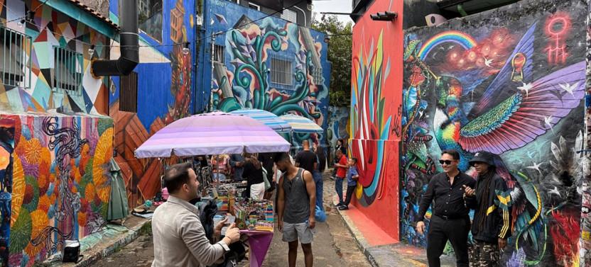 Private Car Tour of São Paulo - History, Art and Local Life