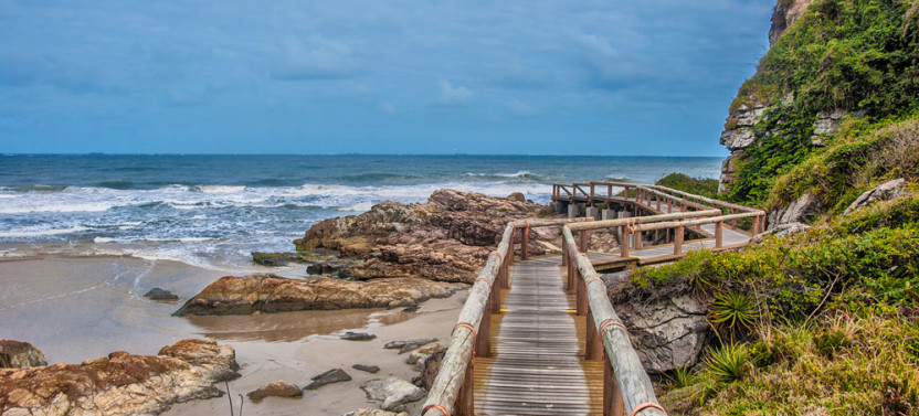Ilha do Mel Tour from Curitiba with Private Boat and Guide