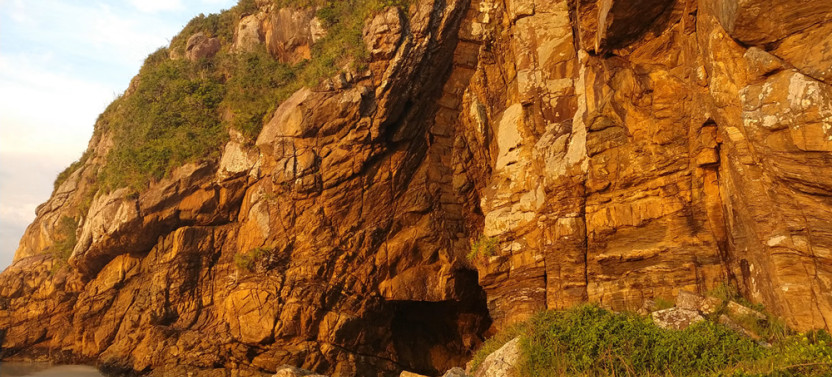 Ilha do Mel Tour from Curitiba with Private Boat and Guide