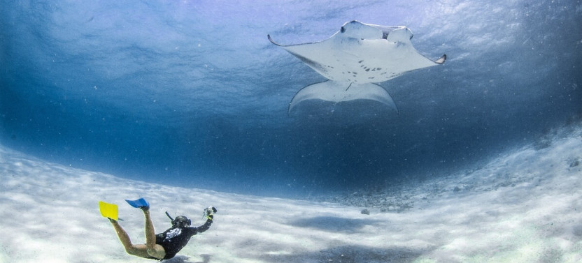7- Night Baa Atoll Manta Snorkeling Adventure