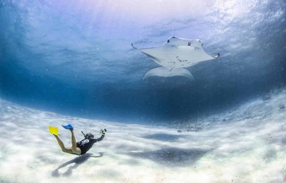 7- Night Baa Atoll Manta Snorkeling Adventure