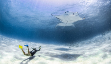 A picture of 7- Night Baa Atoll Manta Snorkeling Adventure