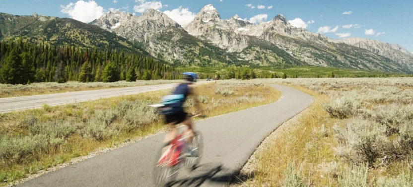 Private Full-Day Grand Teton Wildlife Safari and Biking Tour