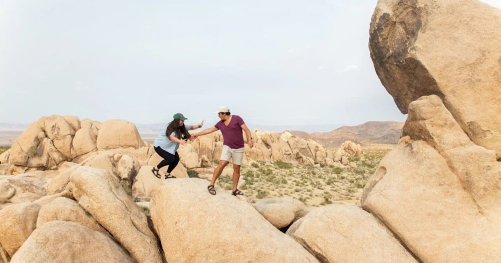 4 Day Beginner Friendly Joshua Tree Camping