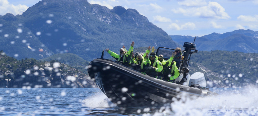 Lysefjord Safari by RIB