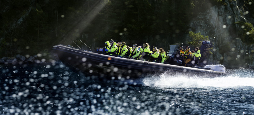 Lysefjord Safari by RIB